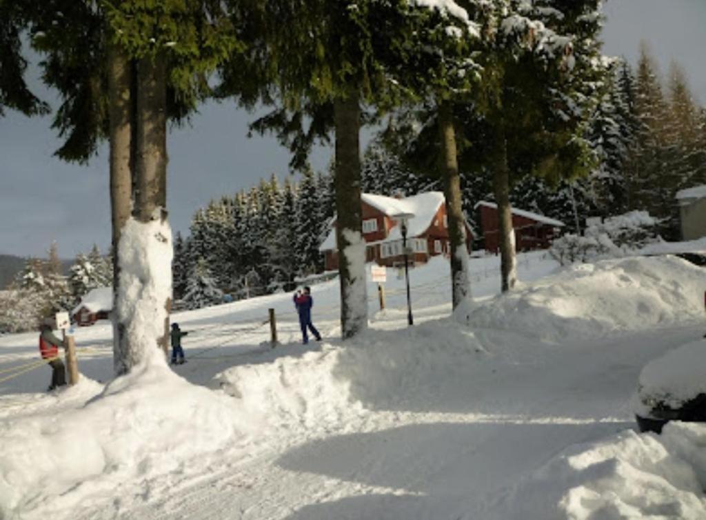 Relax Harrachov Apartments 外观 照片